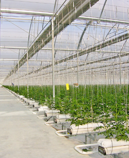 hydroponic-greenhouse-systems