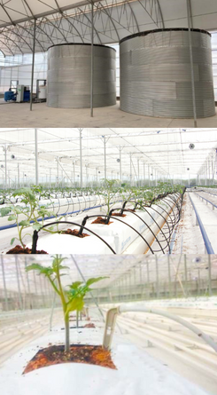 irrigation-fertilizer-systems