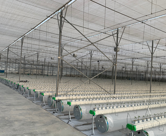Cooling System Greenhouse