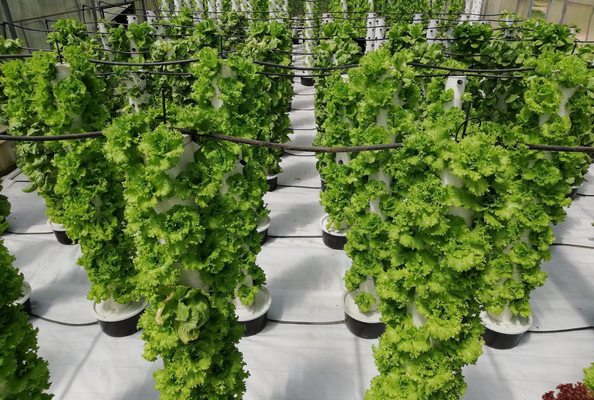 Vertical Agricultural Tower Systems