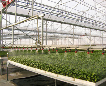 rooms, vaccination room, germination room, intensive care room, seedling stands, rail irrigation systems, seed planting machine