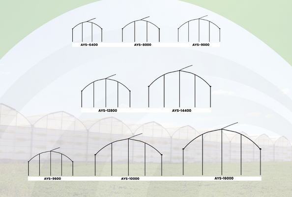 greenhouse Construcción de acero para invernadero, invernadero multitúnel
