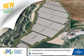  Our 105-hectare high-tech soilless tomato greenhouse project has started in Kazakhstan.