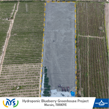 Mersin 36 Dönümlük Blueberry Sera Projesi – AYS Proje