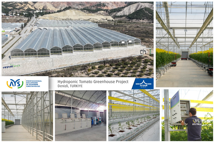 Мы завершили наш высокотехнологичный проект теплицы с геотермальным отоплением в Денизли.