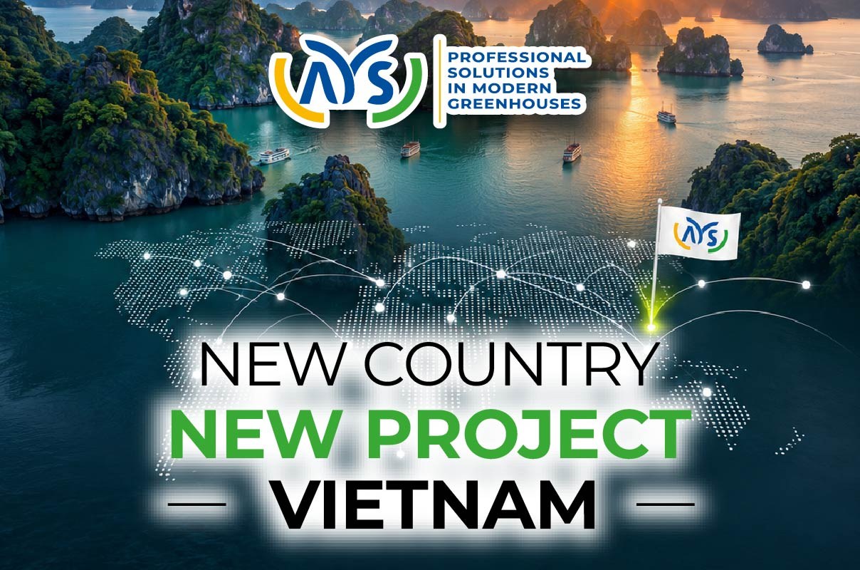 Yeni Ülke, Yeni Proje: Vietnam – görsel 2