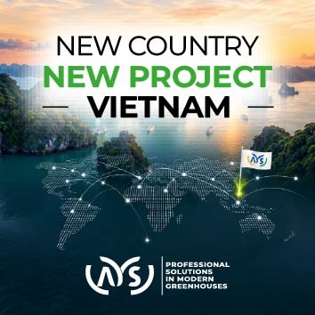Yeni Ülke, Yeni Proje: Vietnam – görsel 3
