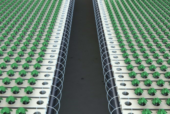 nft-irrigation-fertilizer-system