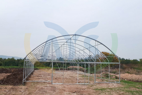 single tunnel greenhouse