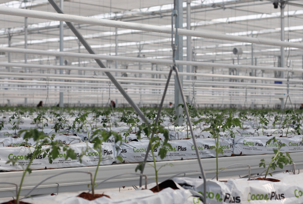 hydroponic greenhouse equipment suspended system